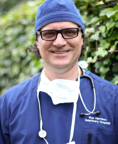 Dr. John Pisciotta