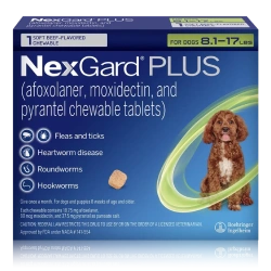 NexGard Plus packaging showing a small brown dog and medication details, with text indicating it treats fleas, ticks, heartworm disease, roundworms, and hookworms for dogs weighing 6.1-17 kg.